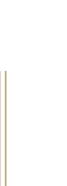 ある日のおすすめ